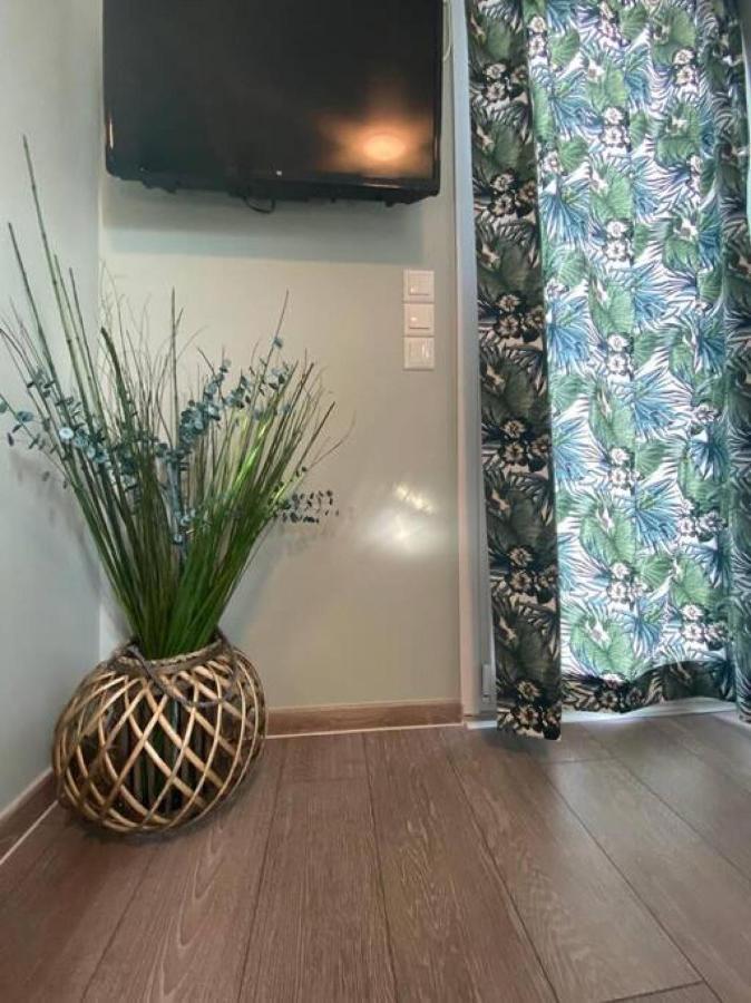 Rooftop Apartment With Garden In ヨアニナ エクステリア 写真